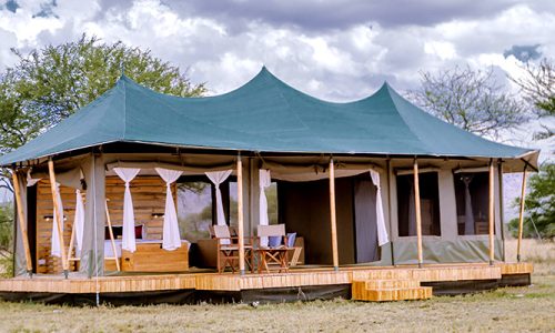 kimarishe-camp-top-1